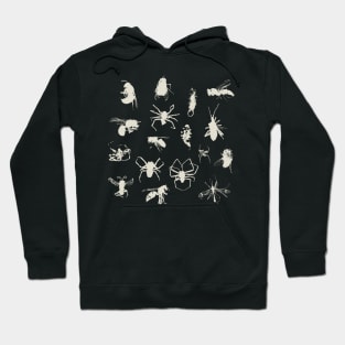 Bugs, wasps, spiders & earwig Hoodie